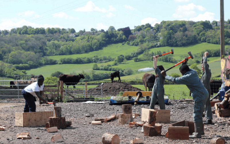 Jamie's Farm